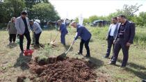 İnegöl’de Çevre Haftasında 150 Fidan Toprakla Buluştu